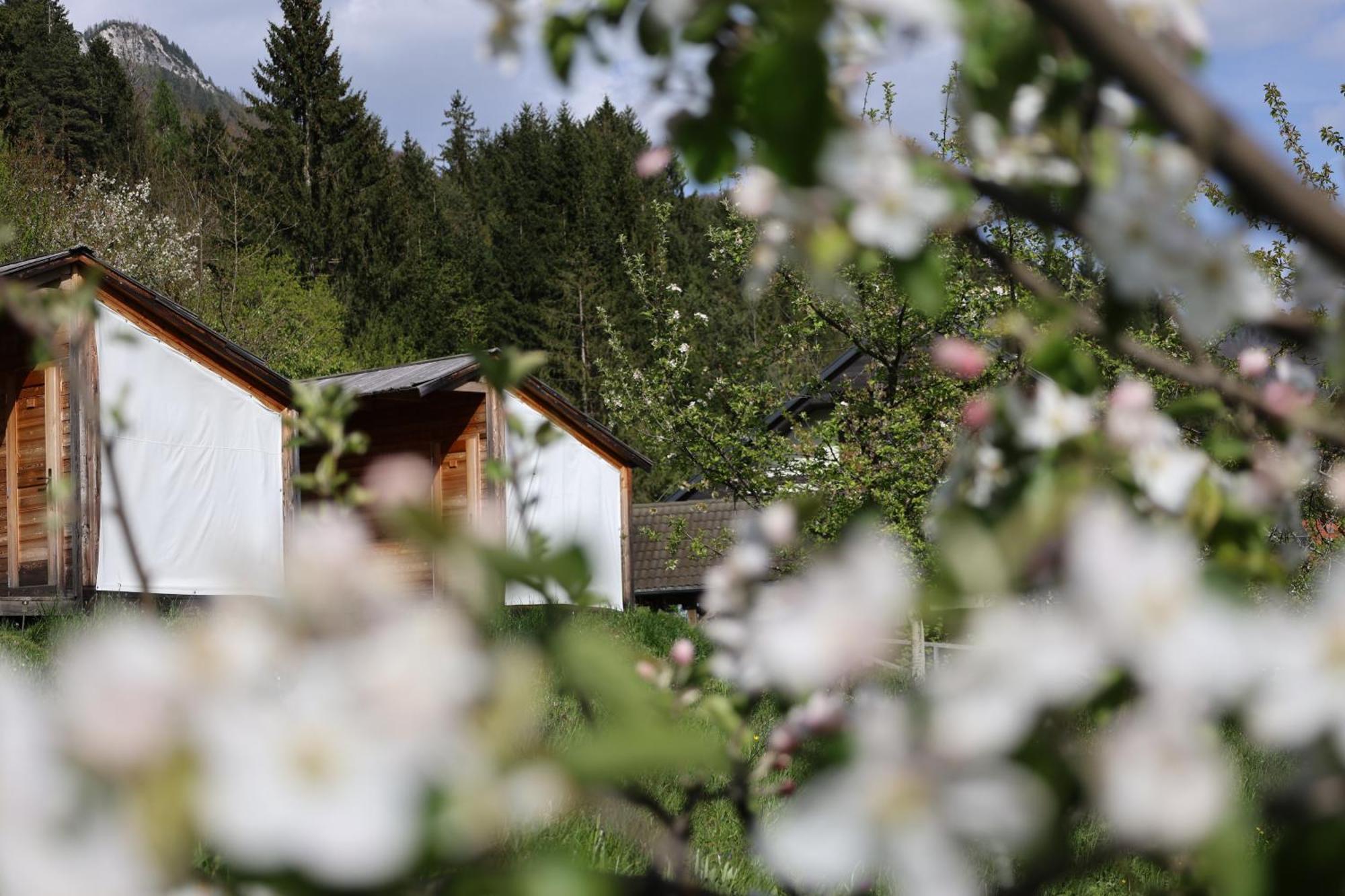 Mountain View Glamping Villa Dovje Exteriör bild
