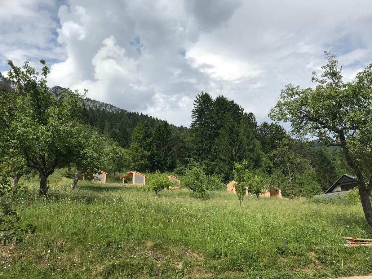 Mountain View Glamping Villa Dovje Exteriör bild