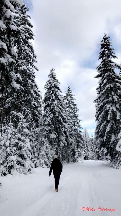 Mountain View Glamping Villa Dovje Exteriör bild