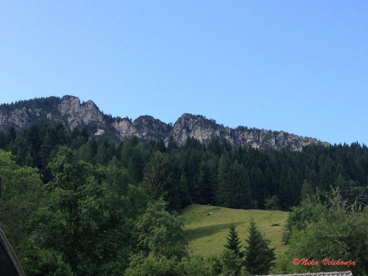 Mountain View Glamping Villa Dovje Exteriör bild
