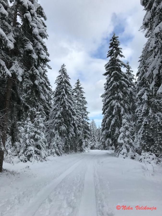 Mountain View Glamping Villa Dovje Exteriör bild