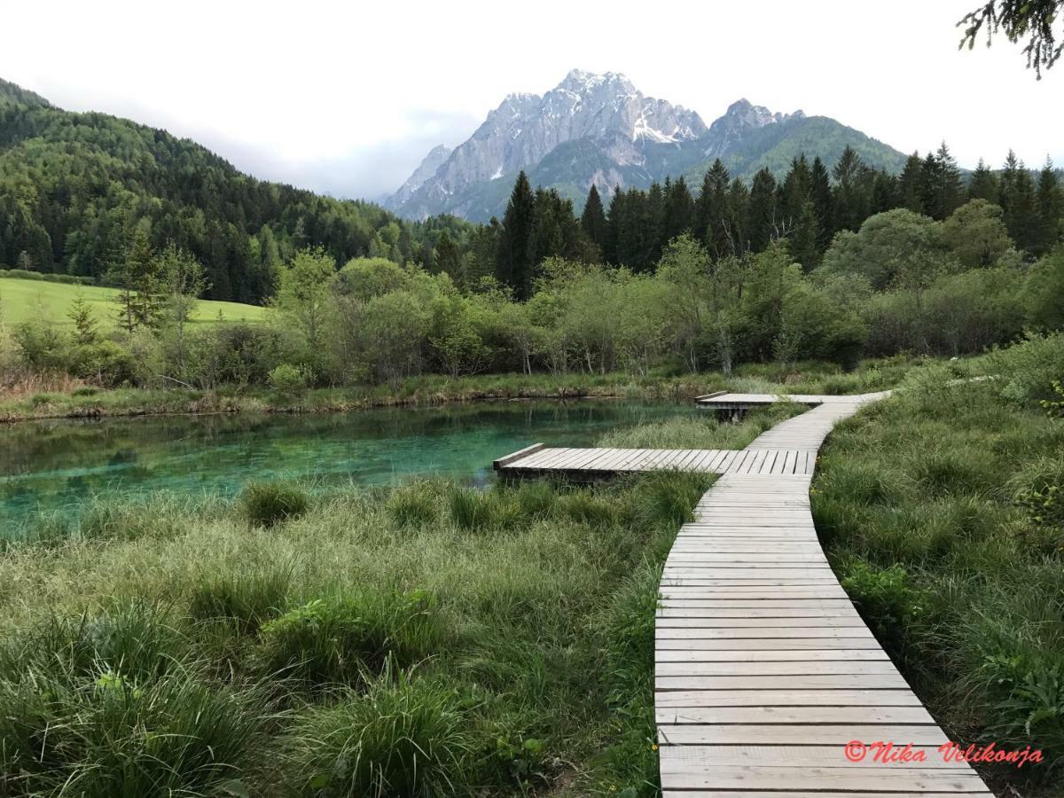 Mountain View Glamping Villa Dovje Exteriör bild